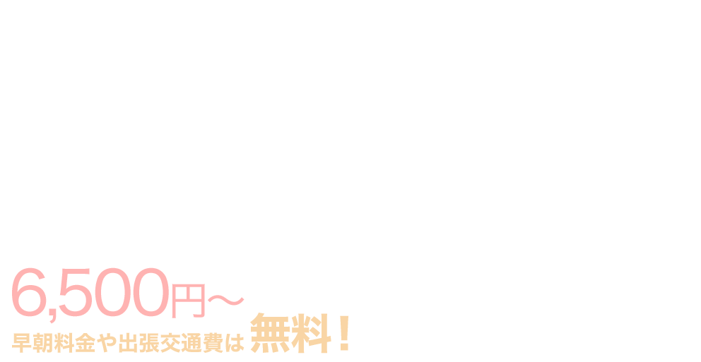 結婚式 成人式 七五三 お宮参り 卒業式の出張着付け 着付け110番